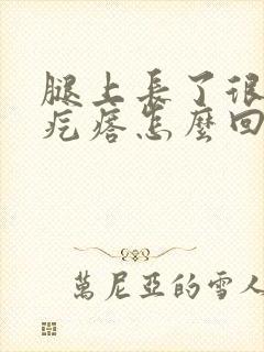 腿上长了很多小疙瘩怎么回事