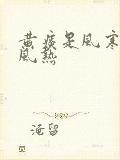 黄痰是风寒还是风热