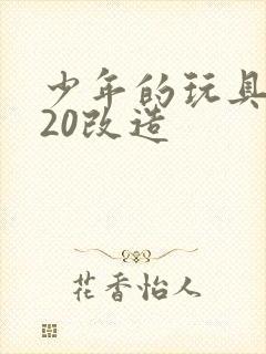 少年的玩具1一20改造