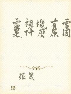 电视机有雪花点是什么原因