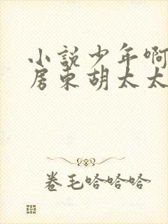 小说少年啊宾和房东胡太太免费阅读封面