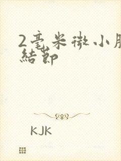 2毫米微小肺有结节