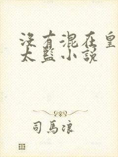 没有混在皇宫假太监小说封面