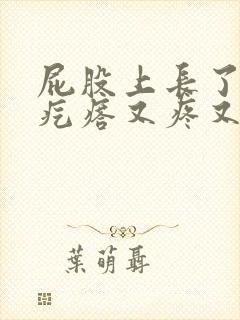 屁股上长了几个疙瘩又疼又痒