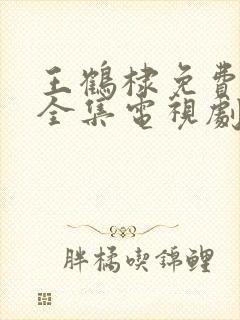 王鹤棣免费观看全集电视剧封面