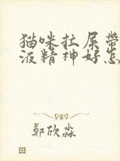 猫咪拉屎带血粘液精神好怎么回事