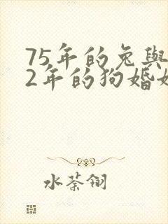 75年的兔与82年的狗婚姻怎么样封面