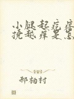 小腿起疙瘩痒越挠越痒是怎么回事