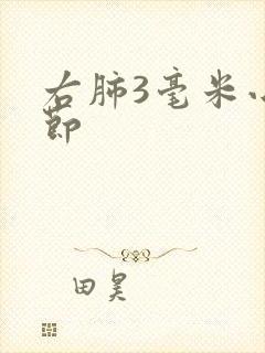 右肺3毫米小结节封面