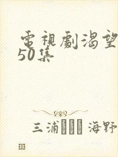 电视剧渴望1—50集