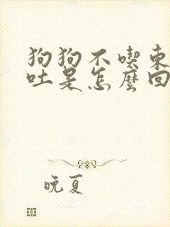 狗狗不吃东西呕吐是怎么回事