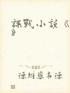 谍战小说《破绽》