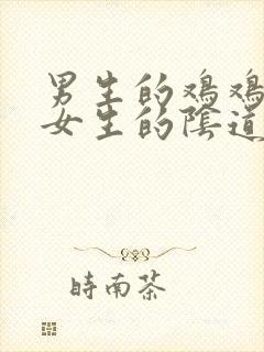 男生的鸡鸡插入女生的阴道