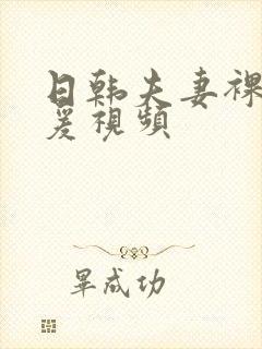 日韩夫妻裸体做爰视频封面