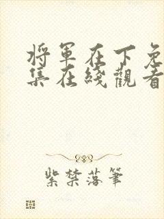 将军在下免费全集在线观看电视剧