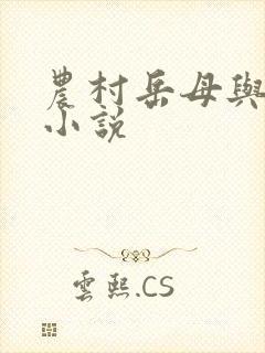 农村岳母与女婿小说