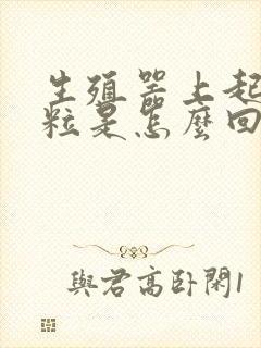 生殖器上起小肉粒是怎么回事