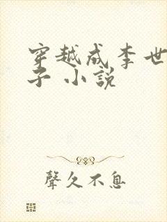 穿越成李世民长子 小说