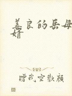 善良的岳母与女婿