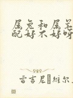 属兔和属羊的婚配好不好呀