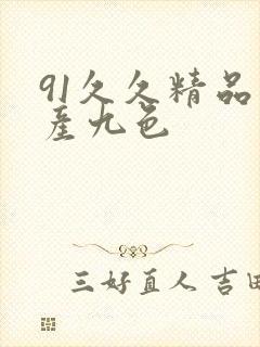 91久久精品国产九色