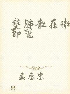 双肺散在微小结节灶