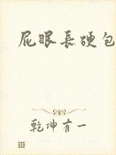 屁眼长硬包封面