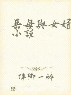 岳母与女婿乱情小说