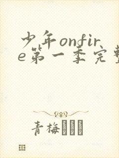 少年onfire第一季完整版免费观看