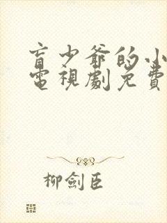 盲少爷的小女仆电视剧免费观看全集