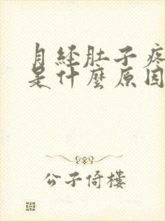 月经肚子疼吐了是什么原因