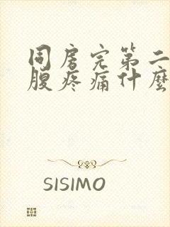 同房完第二天小腹疼痛什么原因