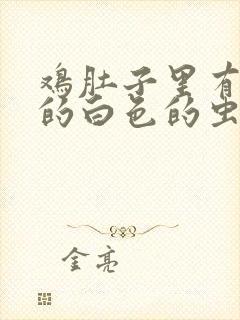 鸡肚子里有长长的白色的虫