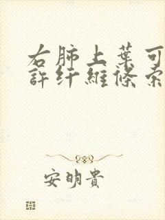 右肺上叶可见少许纤维条索影