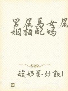 男属马女属狗婚姻相配吗