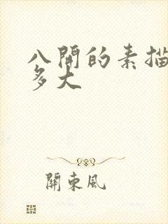 八开的素描纸有多大