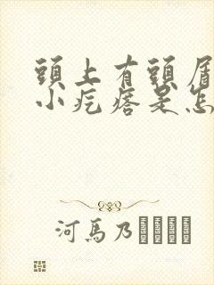 头上有头屑还有小疙瘩是怎么回事