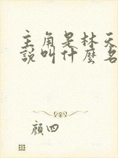 主角是林天的小说叫什么名字