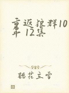 重返狼群10周年 12集