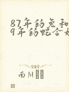 87年的兔和89年的蛇合婚吗