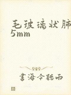 毛玻璃状肺结节5mm