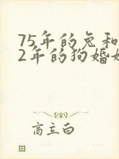 75年的兔和82年的狗婚姻状况