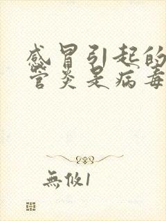 感冒引起的支气管炎是病毒还是细菌