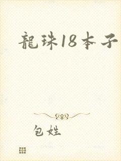 龙珠18本子