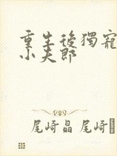 重生后独宠灾星小夫郎