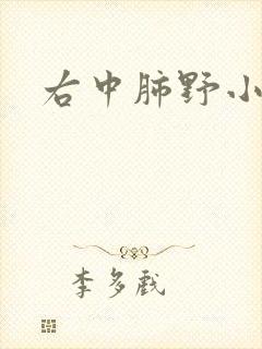 右中肺野小结节