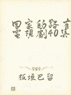 回家的路有多远电视剧40集封面