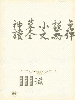 神墓小说免费阅读全文无弹窗封面