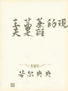 王茜华的现任丈夫是谁