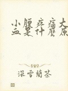 小腹疼痛大便出血是什么原因